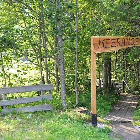 Ferienhaus Biene
